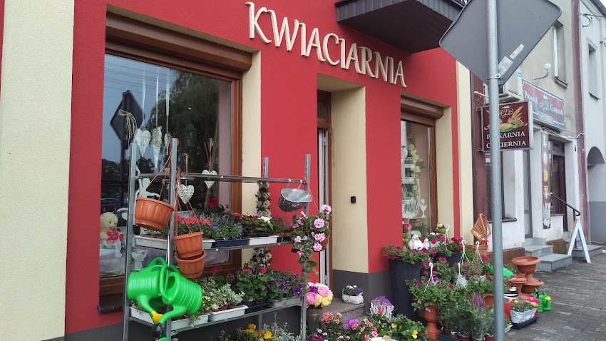 Iwona. Kwiaciarnia