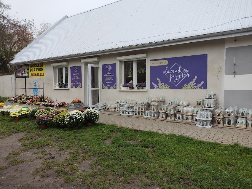 Kwiaciarnia Lawendowa Przystań Tuczno