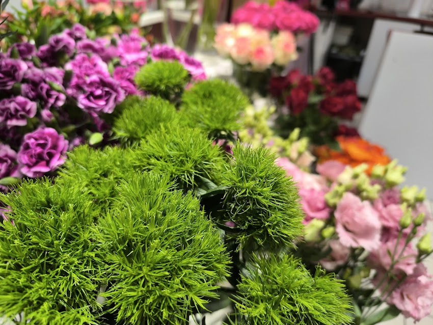 Kwiaciarnia Orchidea