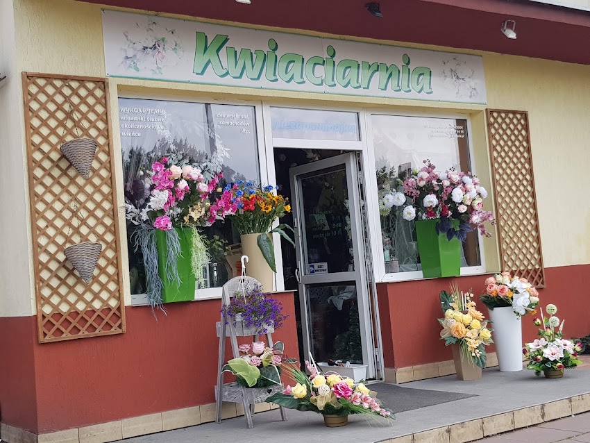 Niezapominajka. Kwiaciarnia. Nowak M.