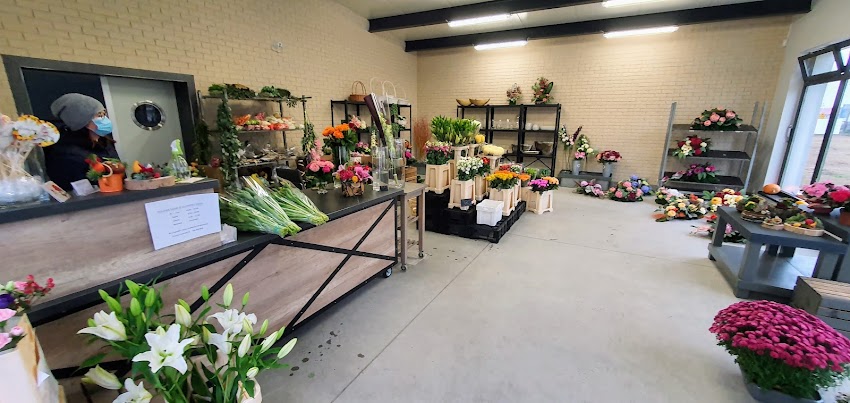 Tulipan Farm & Flowers Shop Kwiaciarnia