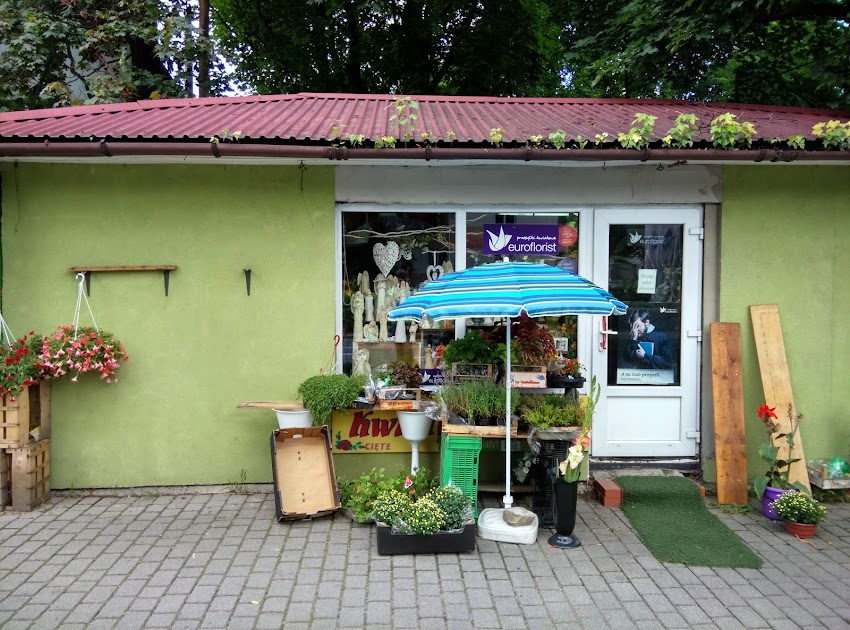 Pod Wiązem. Kwiaciarnia