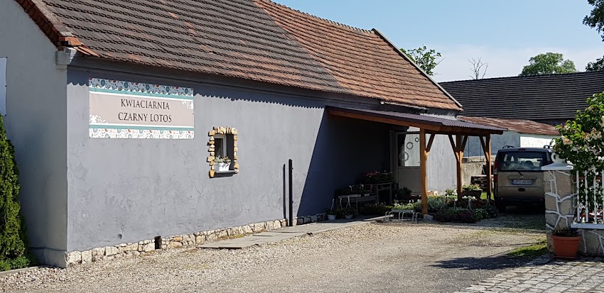 Kwiaciarnia „Czarny Lotos”