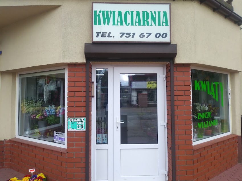 Głasek Arkadiusz. Kwiaciarnia