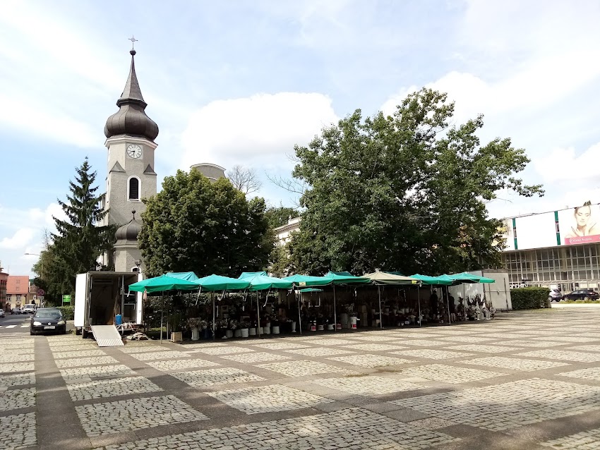 Kwiaty – Grzegorz Muchorowski