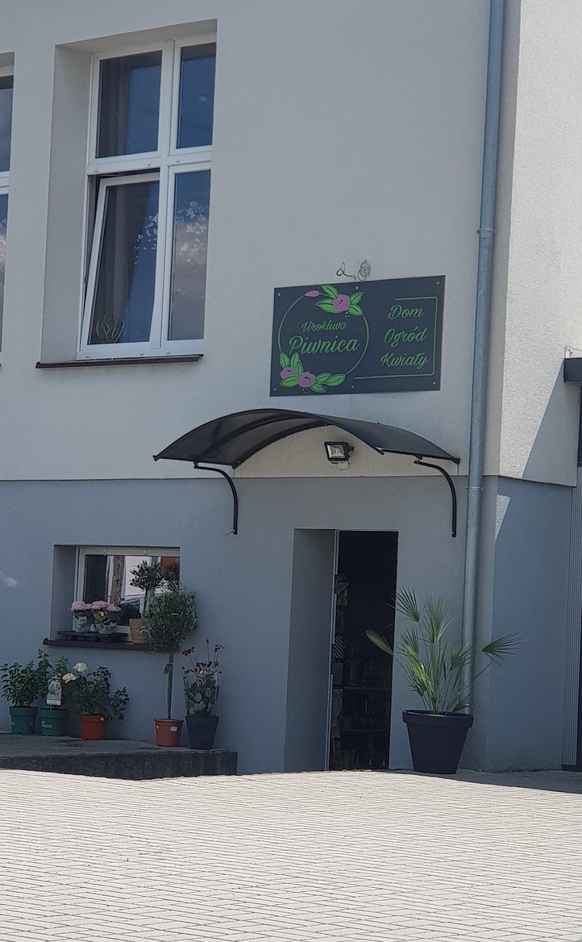Kwiaciarnia Urokliwa Piwnica
