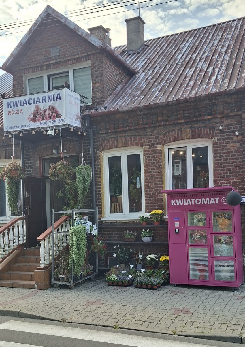Kwiatomat Róża