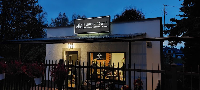 Kwiaciarnia Góra Kalwaria Flower Power – Balony z Helem