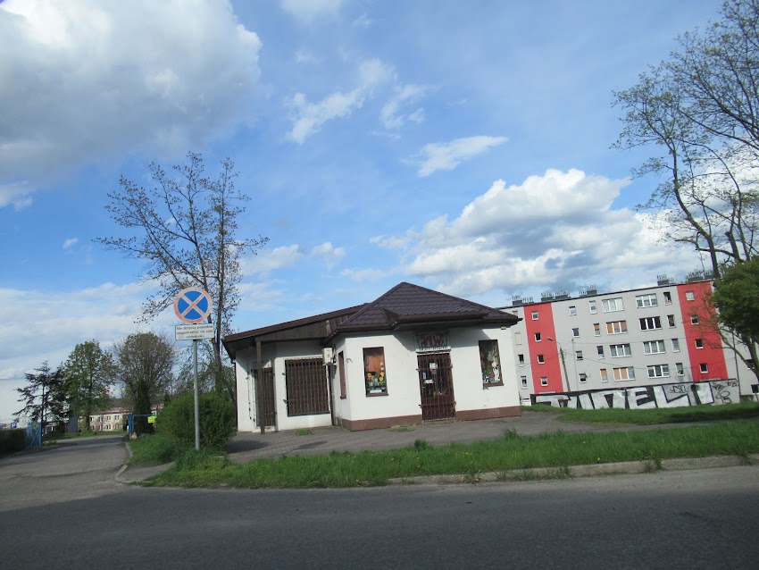 Malwa. Kwiaciarnia