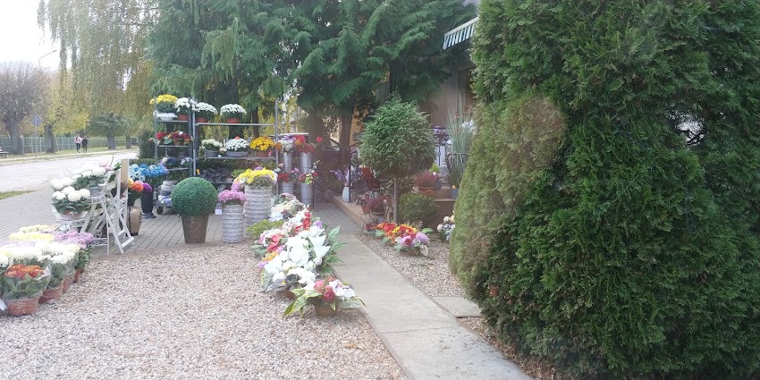 Galeryjka. Kwiaciarnia. Agata Powalisz, Bukiety Kwiatowe