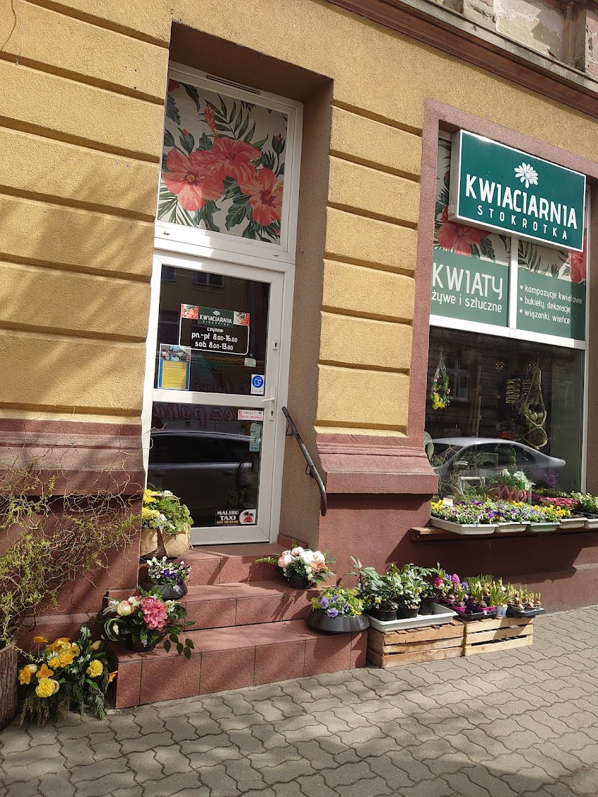 Kwiaciarnia Stokrotka