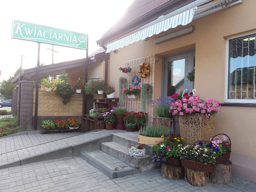 Kwiaciarnia Kuferek Cuda Wianki