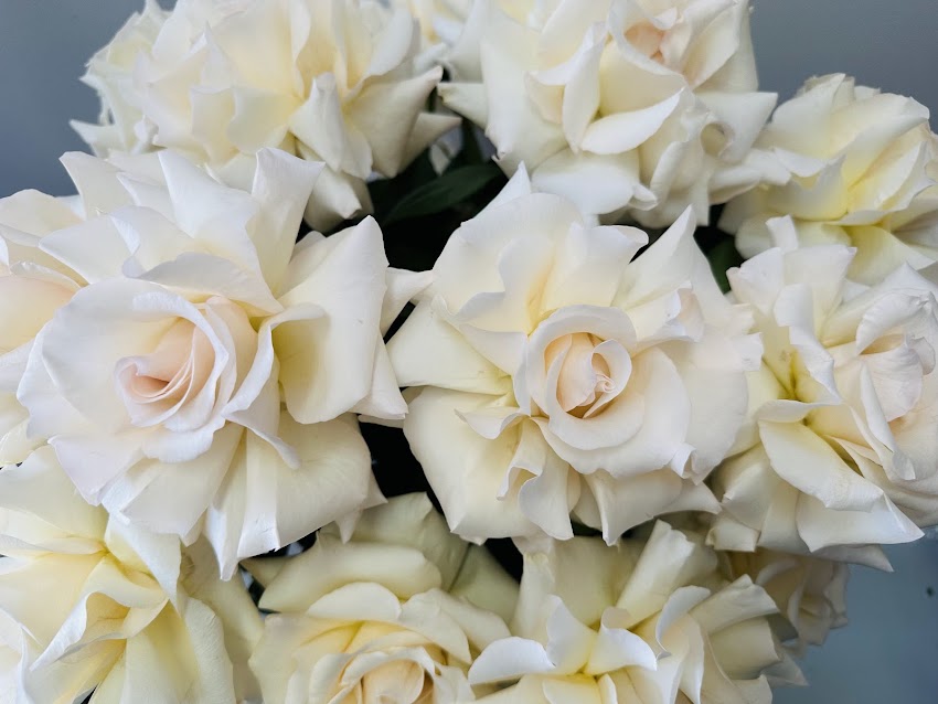KWIACIARNIA FLOWERS