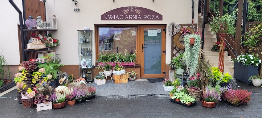 Róża. Kwiaciarnia. Woźniak M.