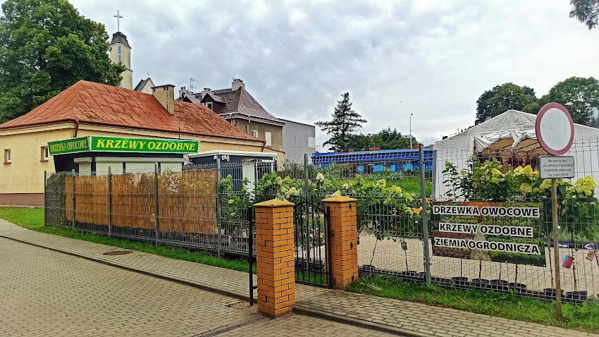 Krzewy Ozdobne