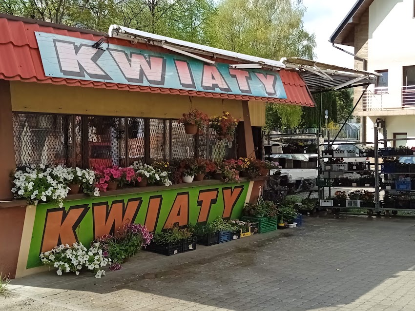 Kwiaciarnia Lilia Aneta Rapacz