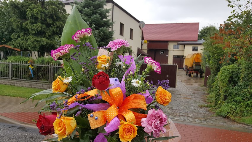Krystyna. Kwiaciarnia. Bulenda A.