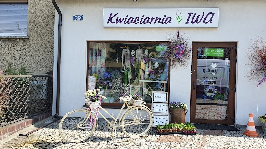 Kwiaciarnia 24h IWA Iwona Wierzbińska