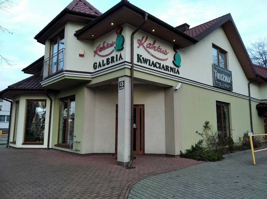 Kaktus. Kwiaciarnia. Szabłowska A.