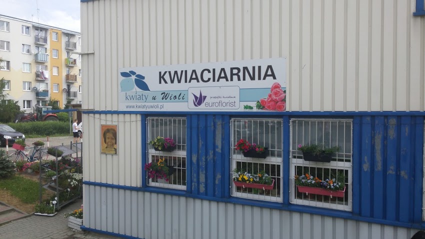 Kwiaciarnia „Kwiaty u Wioli”