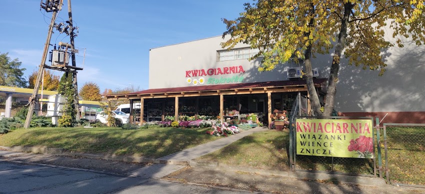 Kwiaciarnia Stokrotka