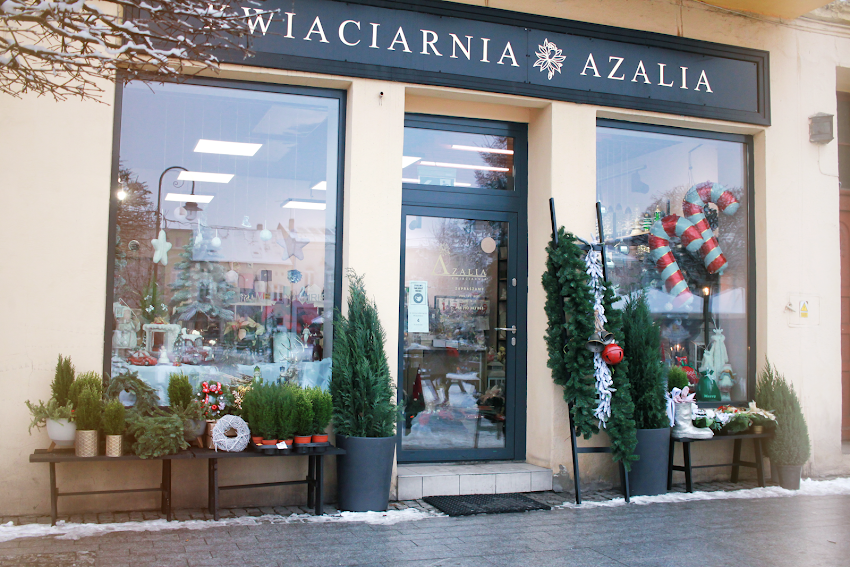 Kwiaciarnia Azalia