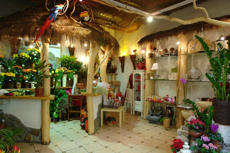Amazonia