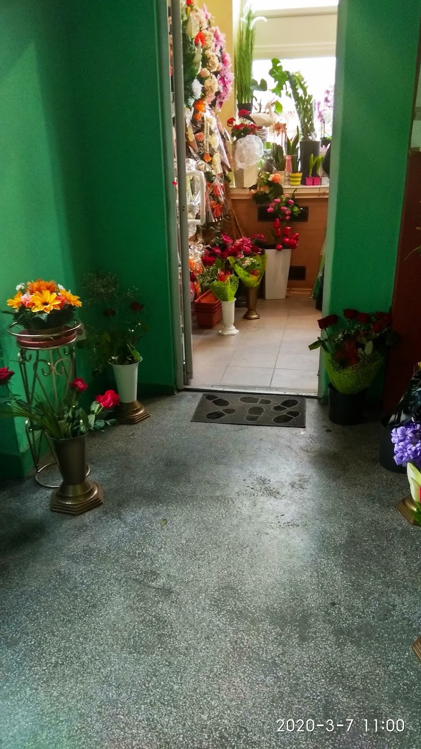 Kwiaciarnia Tulipan