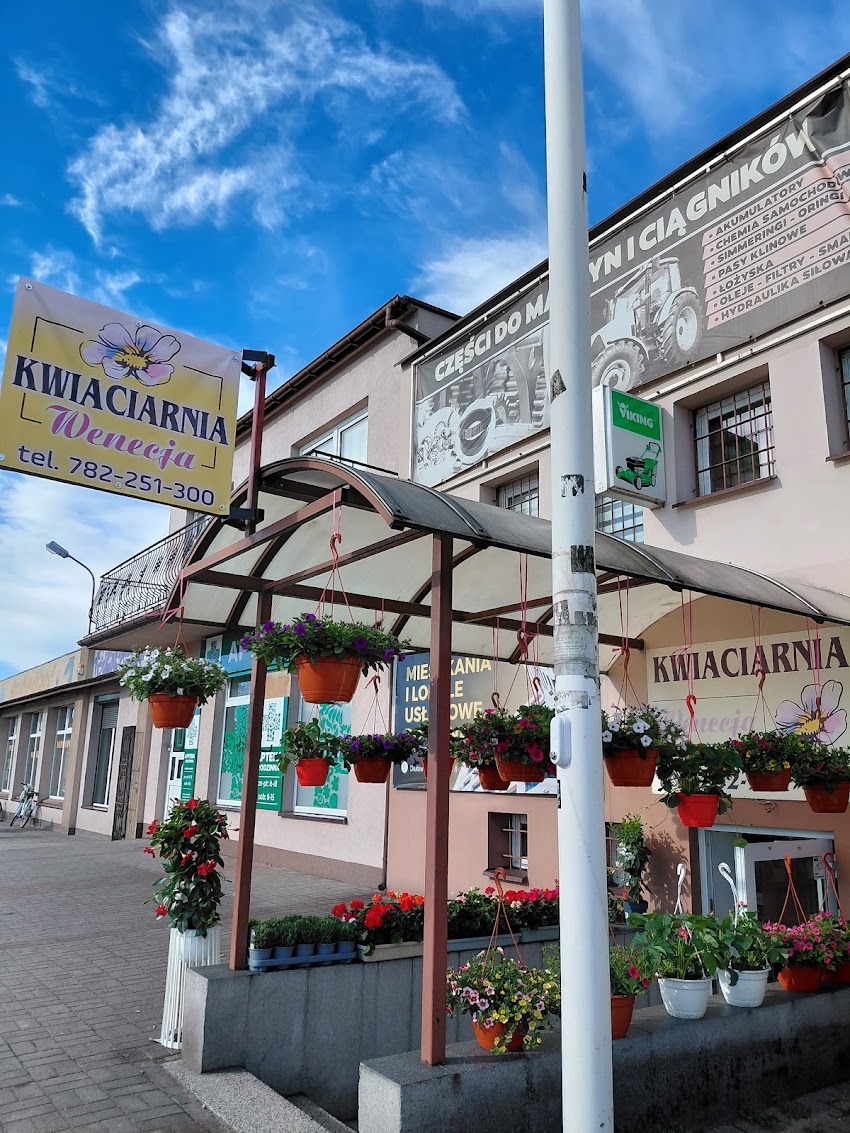 Kwiaciarnia Wenecja Dłutów