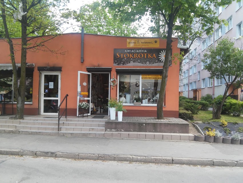 Kwiaciarnia „Stokrotka”