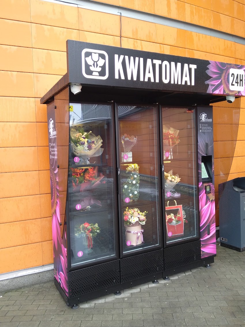 Kwiatomat Floribunda CH Karolinka