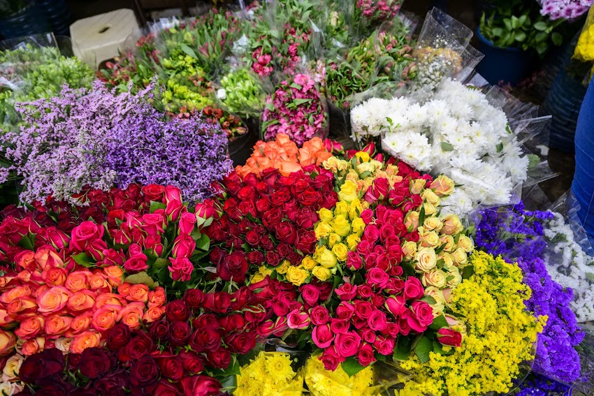 Hurtownia Kwiatów Flowermix