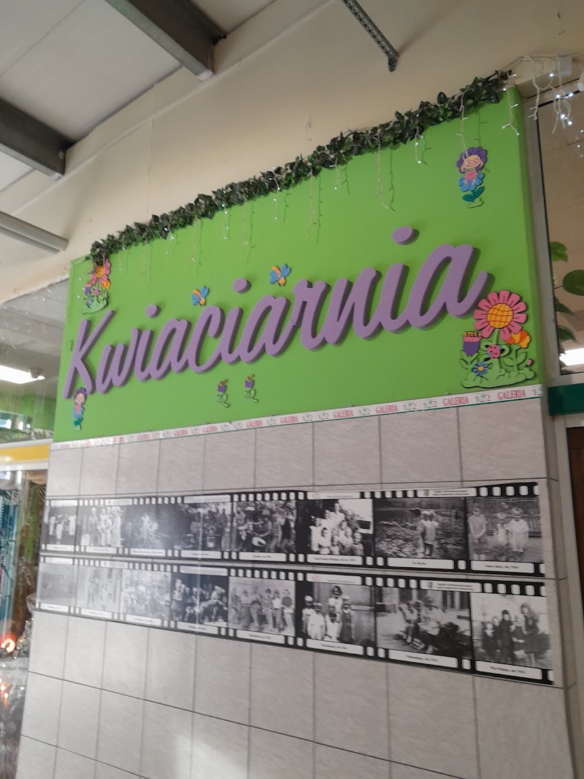 Kwiaciarnia Paprotka