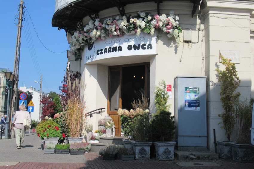 Kwiaciarnia Czarna Owca Wiązanki Dekoracje Bukiety