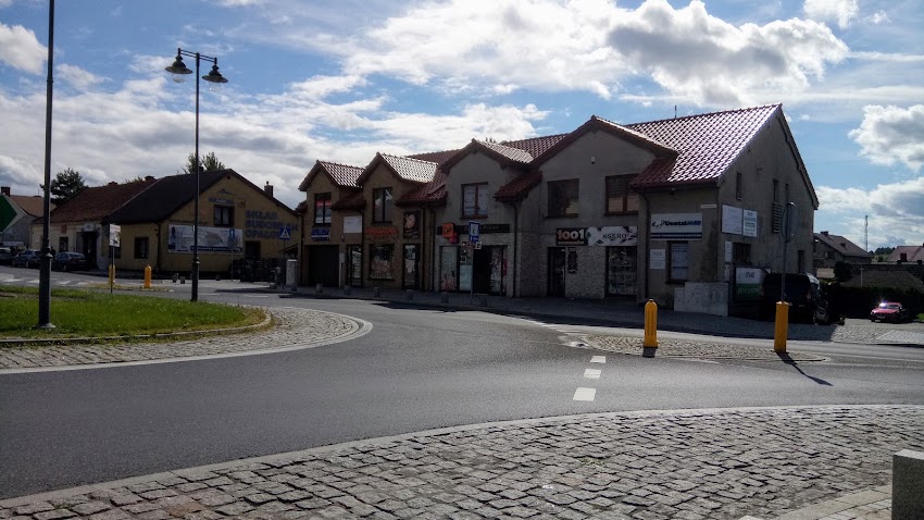Stokrotka. Kwiaciarnia. Jaksender M.