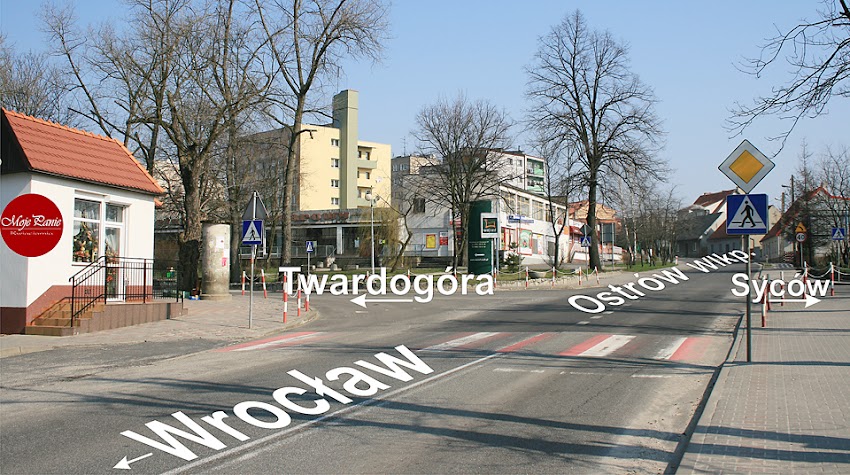 „Lucyna” Kwiaciarnia „Moje Panie”