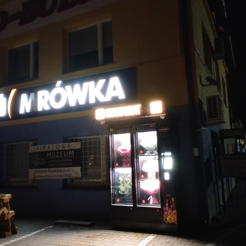 Kwiatomat – Kwiaciarnia Pracownia Artystyczna Agnieszka Janiec