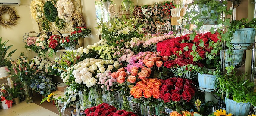 Rosarium. Kwiaciarnia