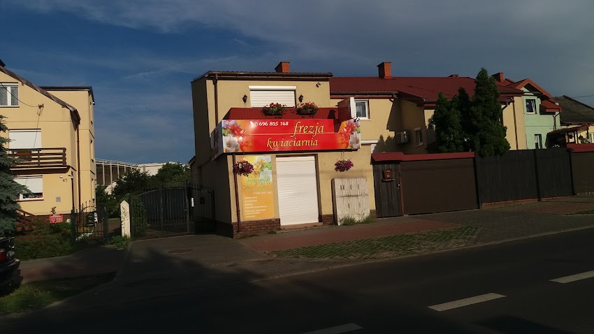 Frezja Kwiaciarnia