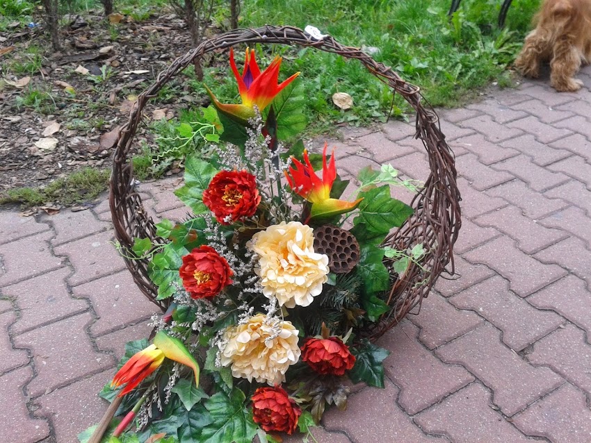 Starachowice Kwiaciarnia Orchidea