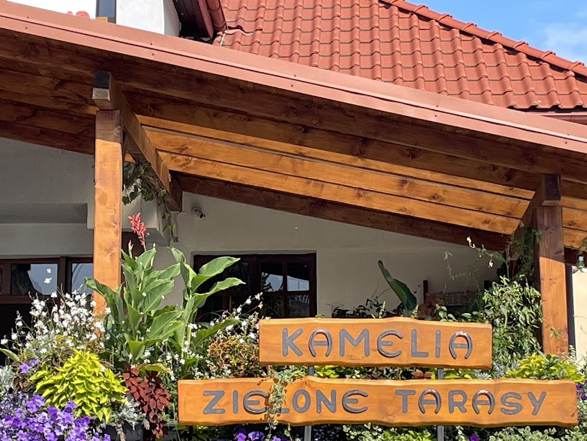 Kwiaciarnia Kamelia Zielone Tarasy