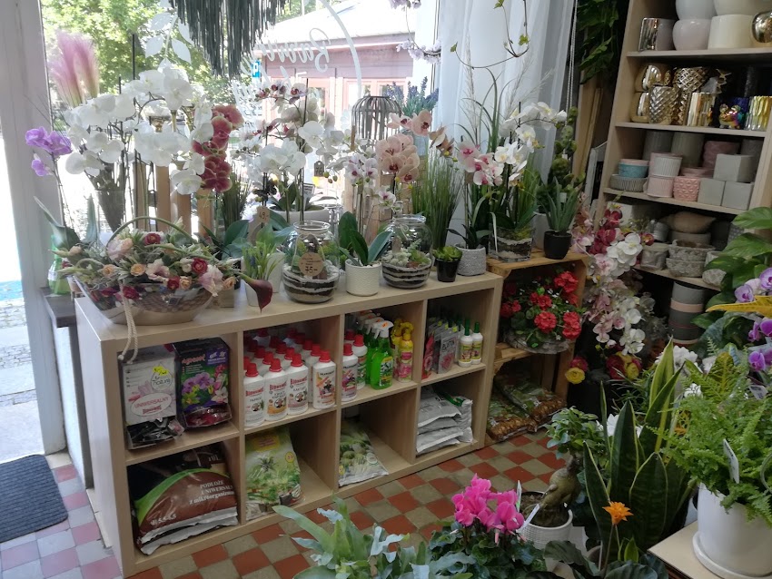 Pracownia Florystyczna Barwimy w Kolory