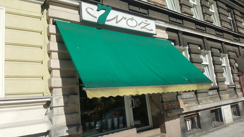 7 Róż. Kwiaciarnia. Kulina G.