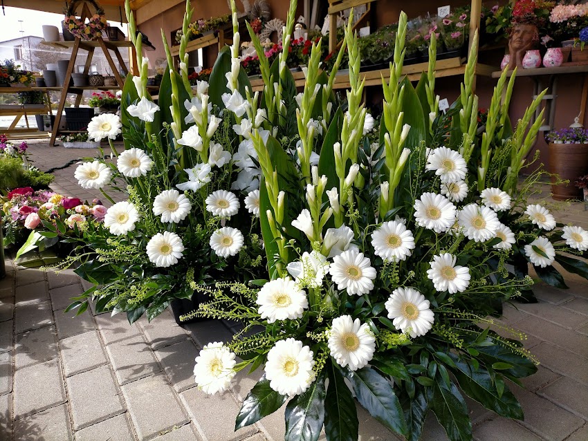 Kwiaciarnia Niezapominajka – Ewa Polak