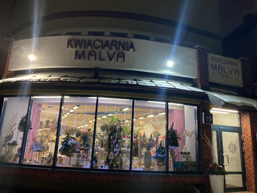 MALVAkwiaty