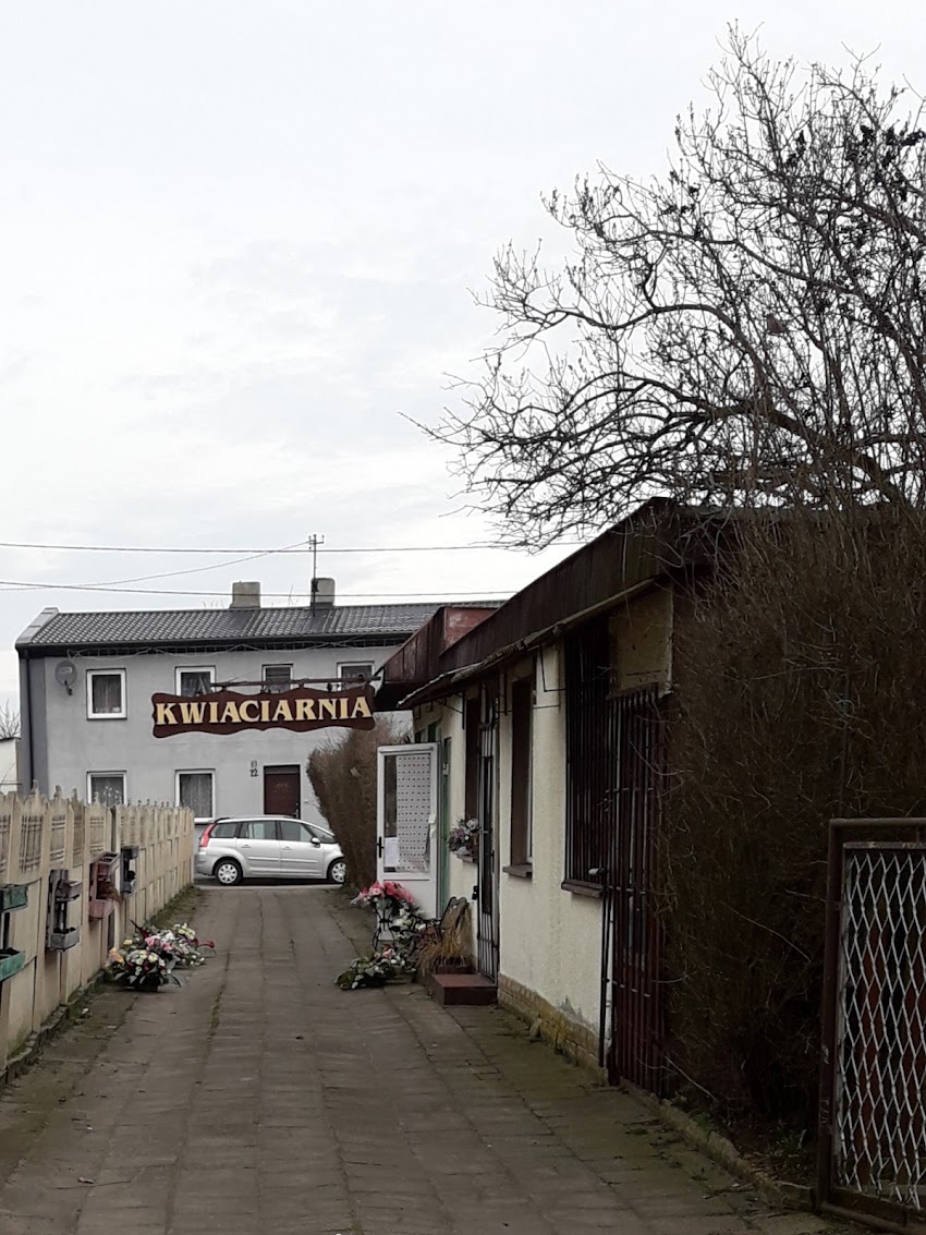 Kwiaciarnia Anemon