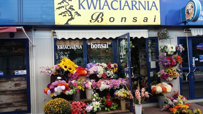 Kwiaciarnia Bonsai