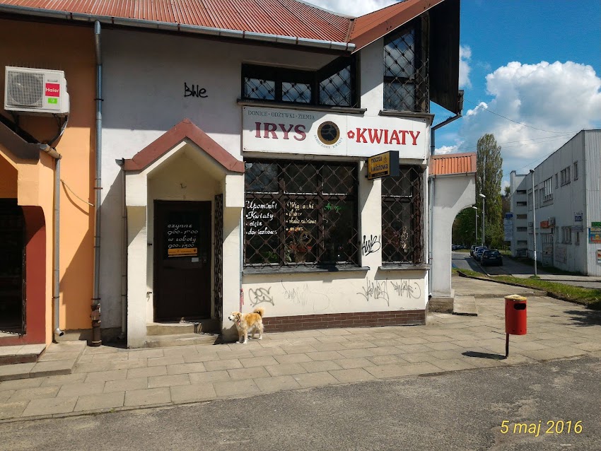 Poczta Kwiatowa Kwiaciarnia Irys