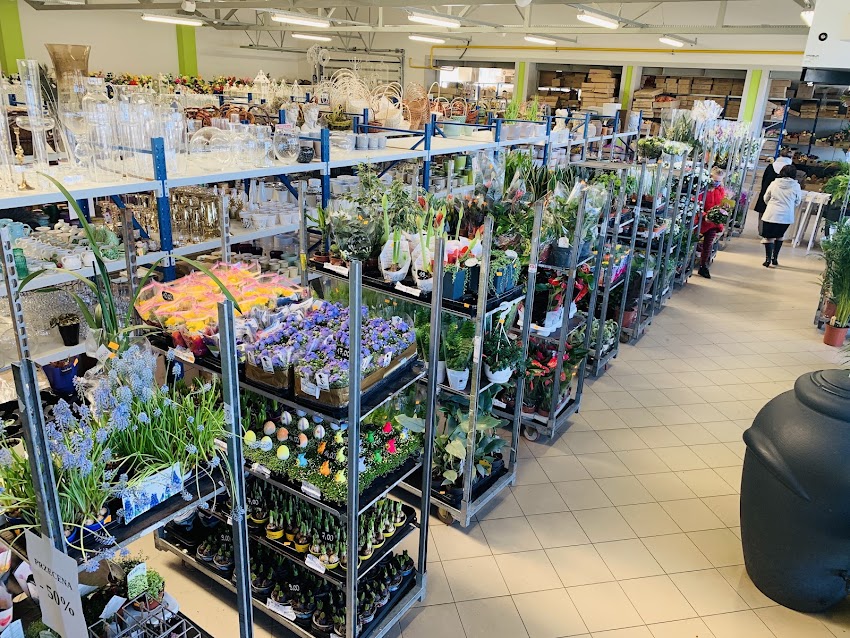 Hurtownia Kwiatów Kwiaty Cięte i Doniczkowe – Zamość Centrum Kwiatowe
