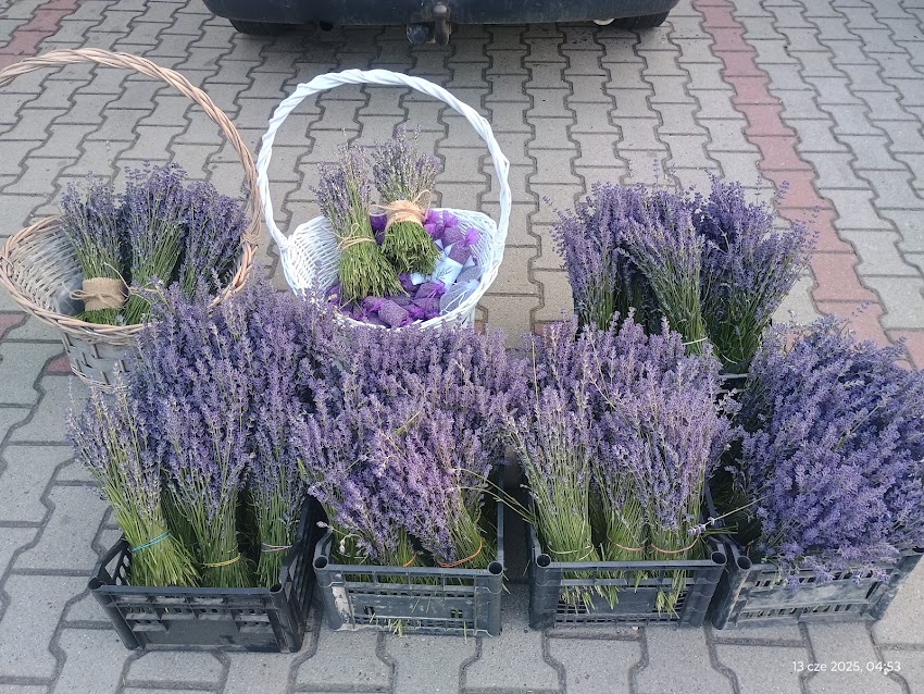 Giełda Kwiatowa